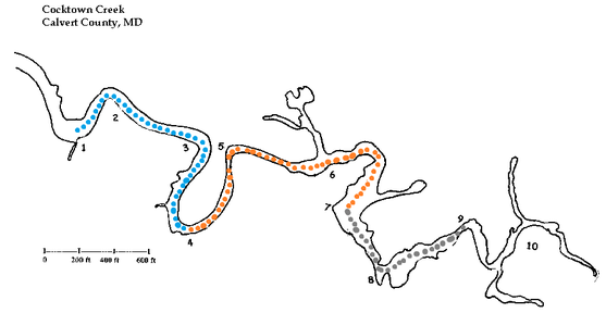 Drawing of Cocktown Creek with colors denoting front, middle, and back sections.