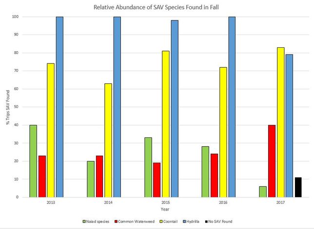 Graph showing relative abundance of SAV species found in fall